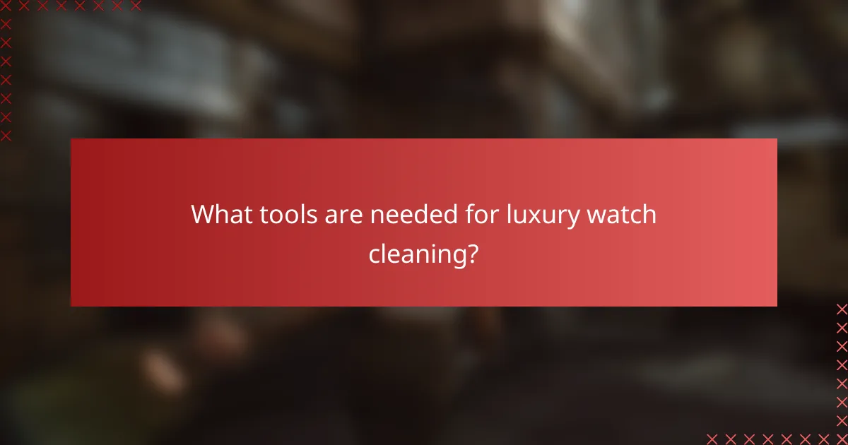 What tools are needed for luxury watch cleaning?